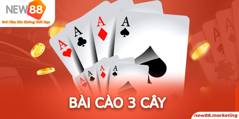 32 win long bảo trong baccarat là gì
