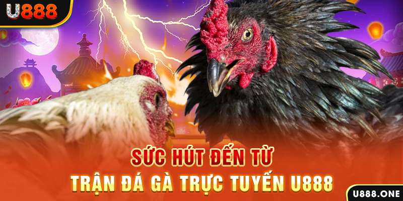 32 win đá gà trực tiếp c1