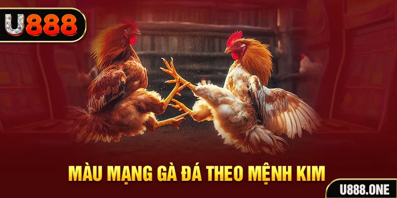 32 win Cỡ bảy