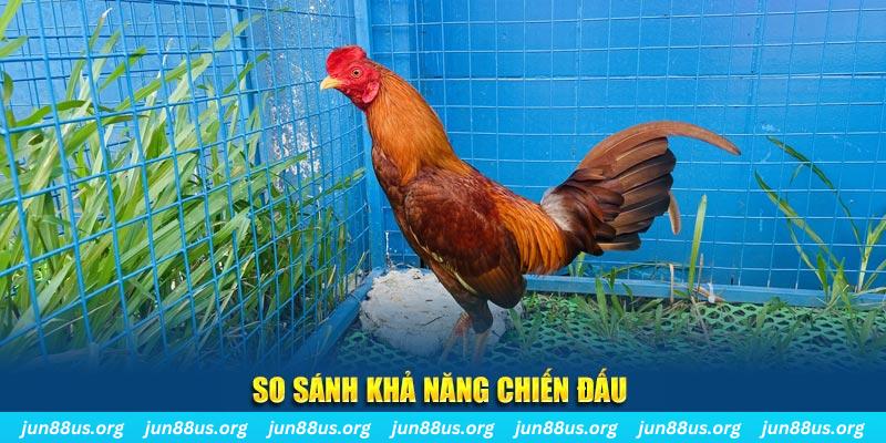 32 win CQ9 Điện Tử