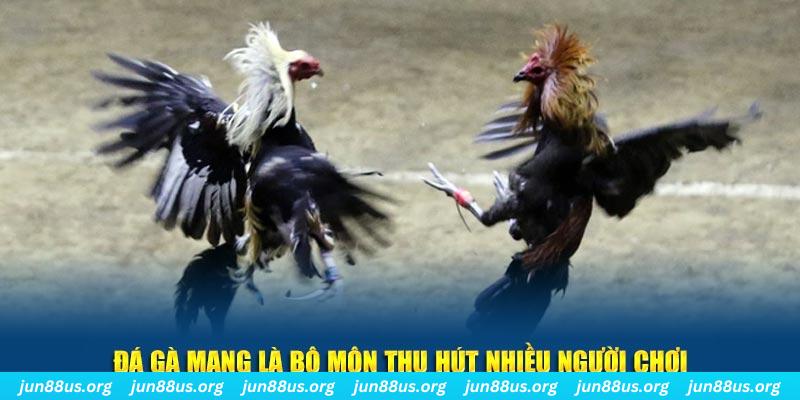 32 win bắn cá au88