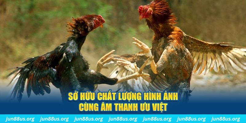 32 win PP Điện Tử
