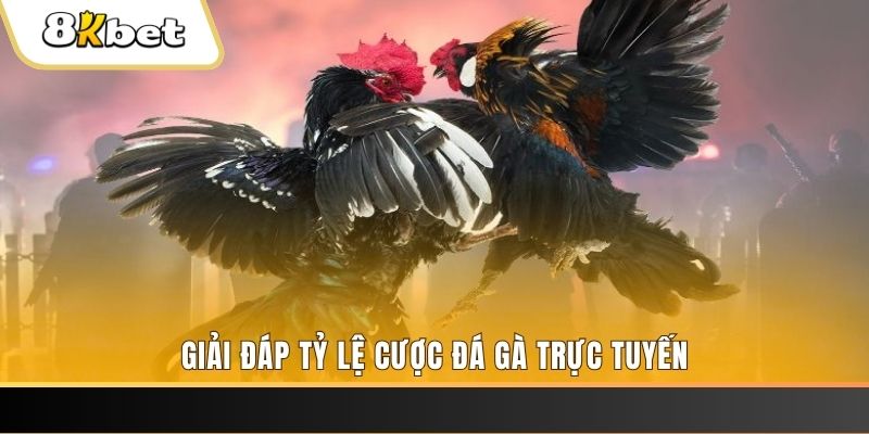 32 win xổ số đài miền trung