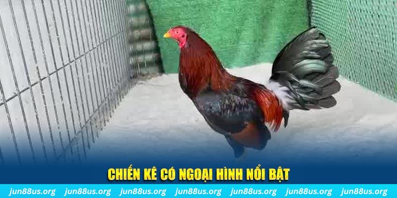 32 win game nổ hũ là gì